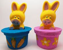 Load image into Gallery viewer, Bunny In Pink/Blue Pot Bath Bomb
