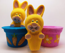 Load image into Gallery viewer, Bunny In Pink/Blue Pot Bath Bomb
